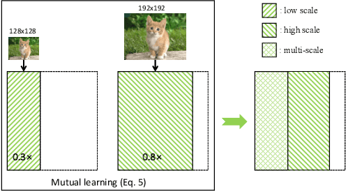 Figure 4 for A closer look at network resolution for efficient network design