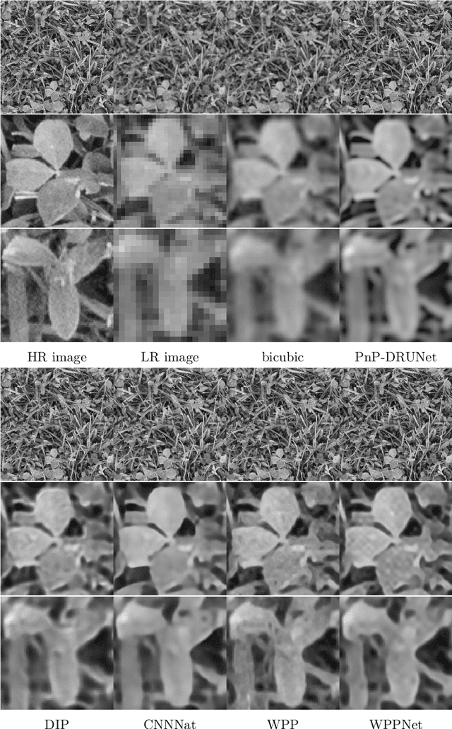 Figure 3 for WPPNets: Unsupervised CNN Training with Wasserstein Patch Priors for Image Superresolution