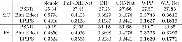 Figure 4 for WPPNets: Unsupervised CNN Training with Wasserstein Patch Priors for Image Superresolution