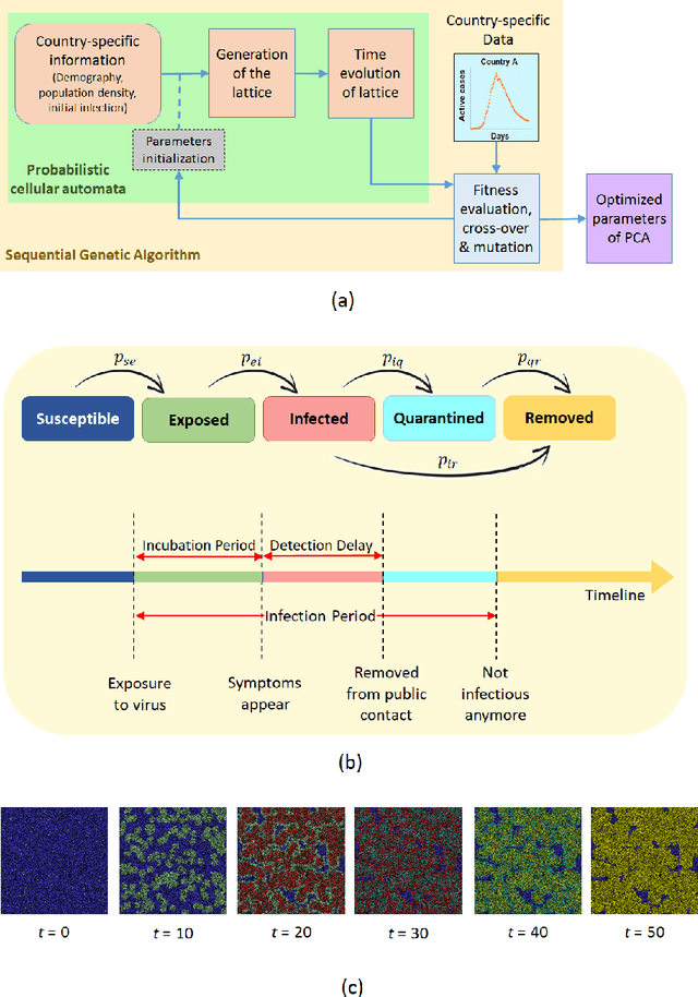 Figure 1 for A Data-driven Understanding of COVID-19 Dynamics Using Sequential Genetic Algorithm Based Probabilistic Cellular Automata