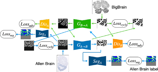 Figure 3 for Confidence-Guided Unsupervised Domain Adaptation for Cerebellum Segmentation