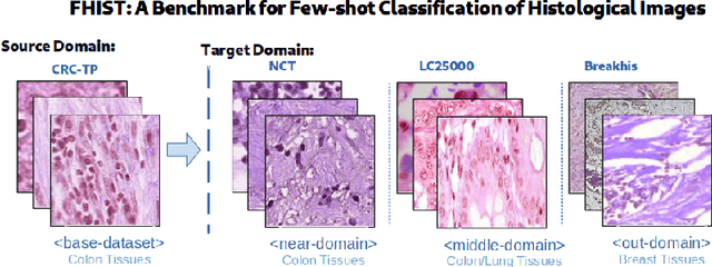 Figure 1 for FHIST: A Benchmark for Few-shot Classification of Histological Images