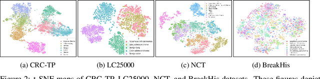 Figure 3 for FHIST: A Benchmark for Few-shot Classification of Histological Images