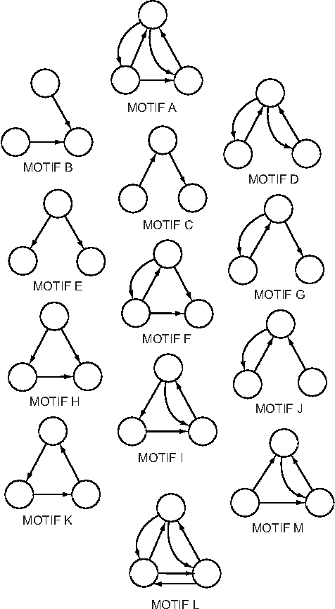 Figure 2 for Probing the statistical properties of unknown texts: application to the Voynich Manuscript