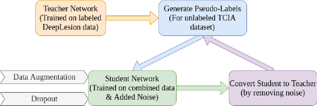Figure 3 for Domain Specific, Semi-Supervised Transfer Learning for Medical Imaging