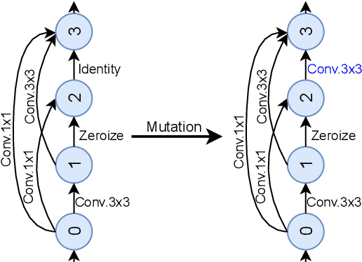 Figure 1 for Guided Evolution for Neural Architecture Search