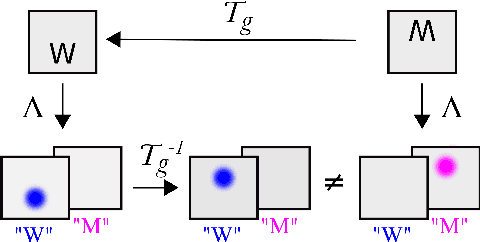 Figure 2 for Inability of spatial transformations of CNN feature maps to support invariant recognition