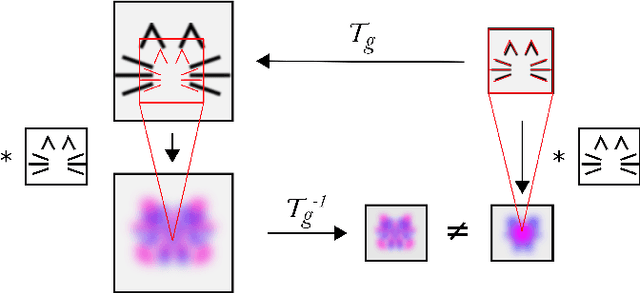 Figure 3 for Inability of spatial transformations of CNN feature maps to support invariant recognition