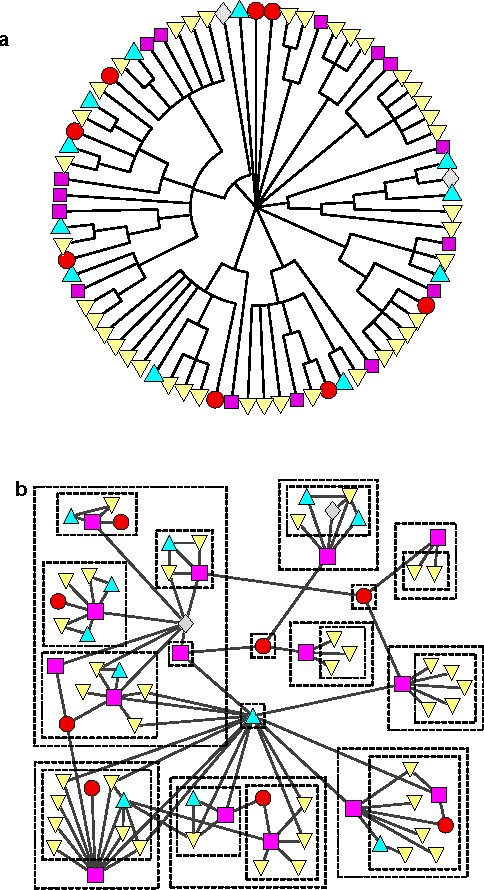Figure 2 for Hierarchical structure and the prediction of missing links in networks