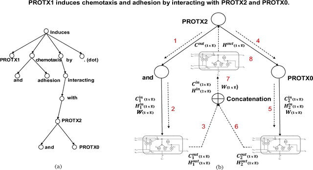 Figure 2 for Identifying Protein-Protein Interaction using Tree LSTM and Structured Attention