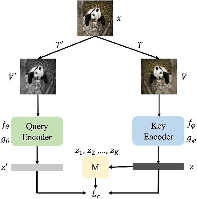 Figure 1 for Contrastive Learning with Stronger Augmentations