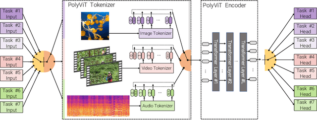 Figure 1 for PolyViT: Co-training Vision Transformers on Images, Videos and Audio