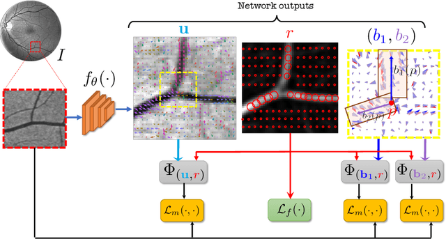 Figure 1 for Self-Supervised Vessel Enhancement Using Flow-Based Consistencies