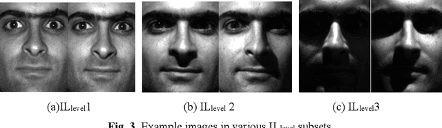 Figure 4 for Adaptive Multiscale Illumination-Invariant Feature Representation for Undersampled Face Recognition
