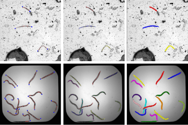 Figure 3 for A CNN Framenwork Based on Line Annotations for Detecting Nematodes in Microscopic Images