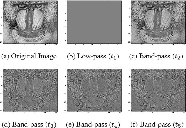 Figure 3 for Retinal-inspired Filtering for Dynamic Image Coding