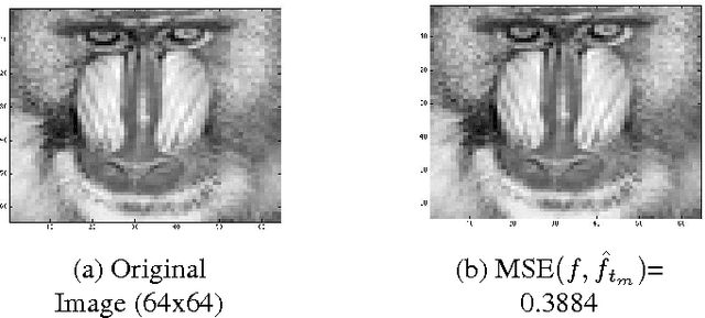 Figure 4 for Retinal-inspired Filtering for Dynamic Image Coding