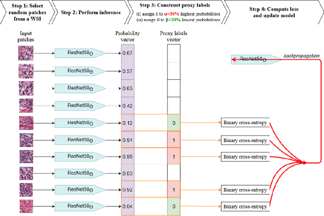 Figure 1 for Weakly supervised multiple instance learning histopathological tumor segmentation