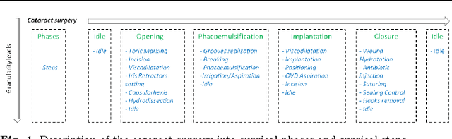 Figure 1 for Real-time analysis of cataract surgery videos using statistical models