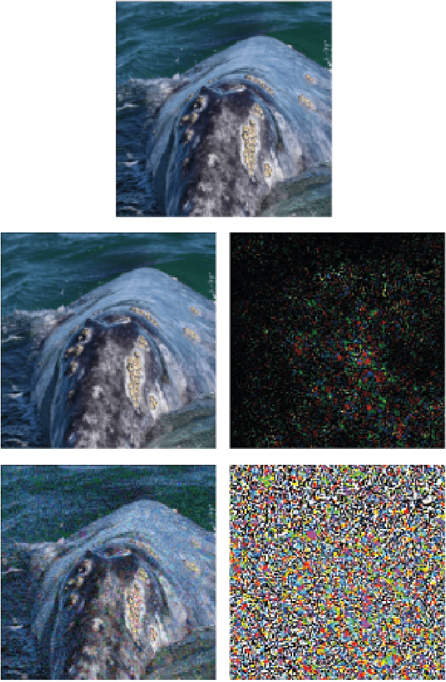 Figure 1 for DeepFool: a simple and accurate method to fool deep neural networks