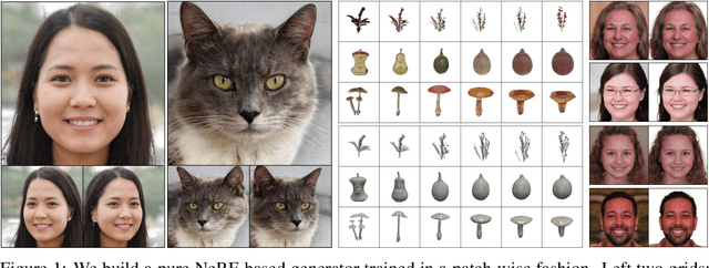 Figure 1 for EpiGRAF: Rethinking training of 3D GANs