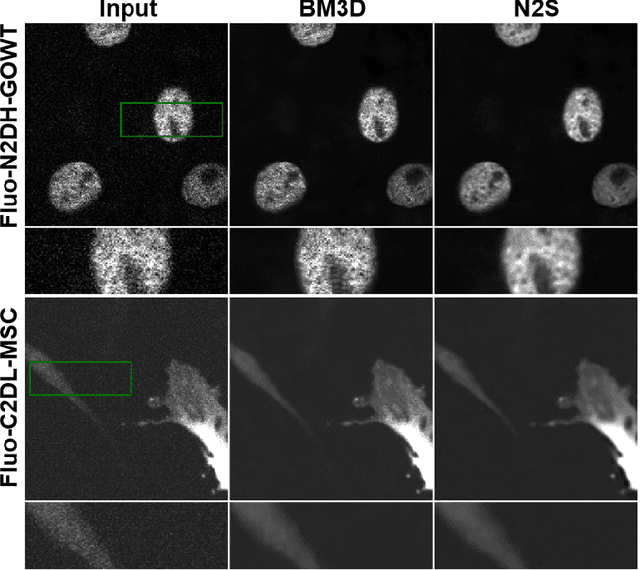 Figure 3 for Unsupervised Deep Learning Methods for Biological Image Reconstruction
