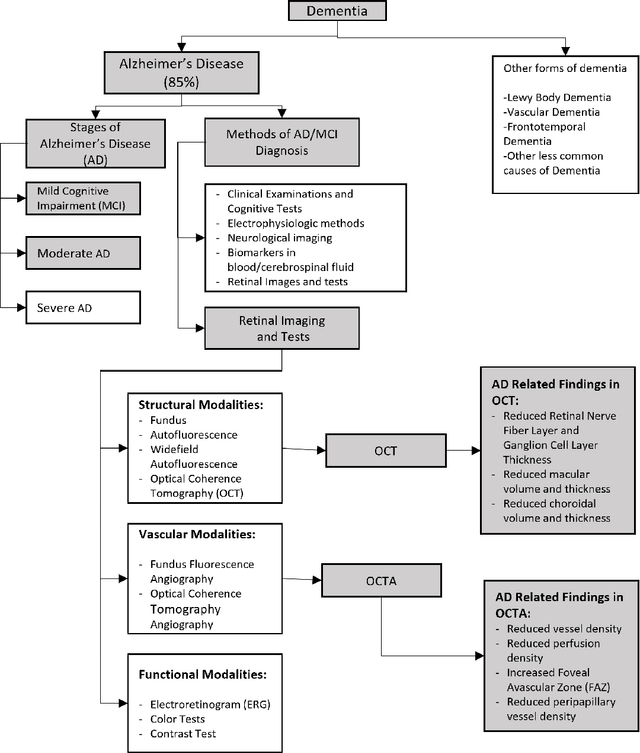 Figure 1 for A Survey on Automated Diagnosis of Alzheimer's Disease Using Optical Coherence Tomography and Angiography