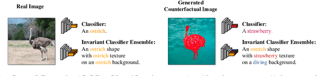 Figure 1 for Counterfactual Generative Networks