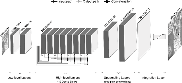 Figure 1 for Can Deep Learning Relax Endomicroscopy Hardware Miniaturization Requirements?