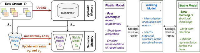 Figure 1 for Learning Fast, Learning Slow: A General Continual Learning Method based on Complementary Learning System