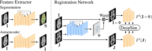Figure 1 for Semantic similarity metrics for learned image registration