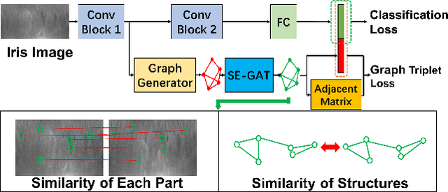 Figure 3 for Dynamic Graph Representation for Partially Occluded Biometrics