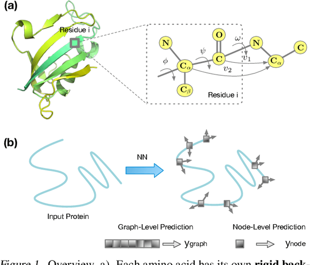Figure 1 for Directed Weight Neural Networks for Protein Structure Representation Learning
