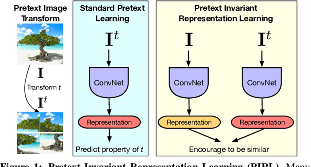 Figure 1 for Self-Supervised Learning of Pretext-Invariant Representations