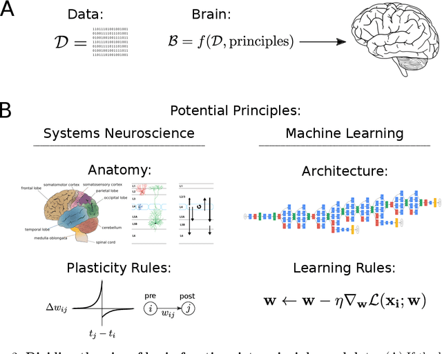 Figure 2 for What does it mean to understand a neural network?