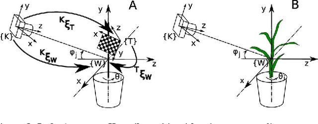 Figure 4 for 3D Scanning System for Automatic High-Resolution Plant Phenotyping