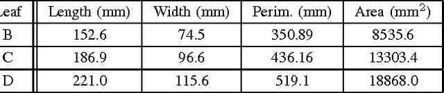 Figure 2 for 3D Scanning System for Automatic High-Resolution Plant Phenotyping