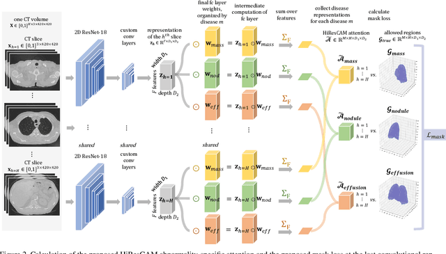 Figure 3 for HiResCAM: Explainable Multi-Organ Multi-Abnormality Prediction in 3D Medical Images