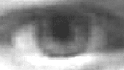 Figure 3 for Unobtrusive Low Cost Pupil Size Measurements using Web cameras