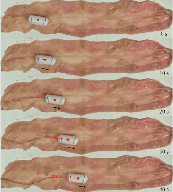 Figure 3 for Design and experimental investigation of a vibro-impact self-propelled capsule robot with orientation control