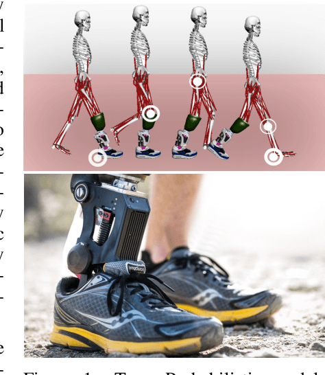 Figure 1 for Learning Predictive Models for Ergonomic Control of Prosthetic Devices