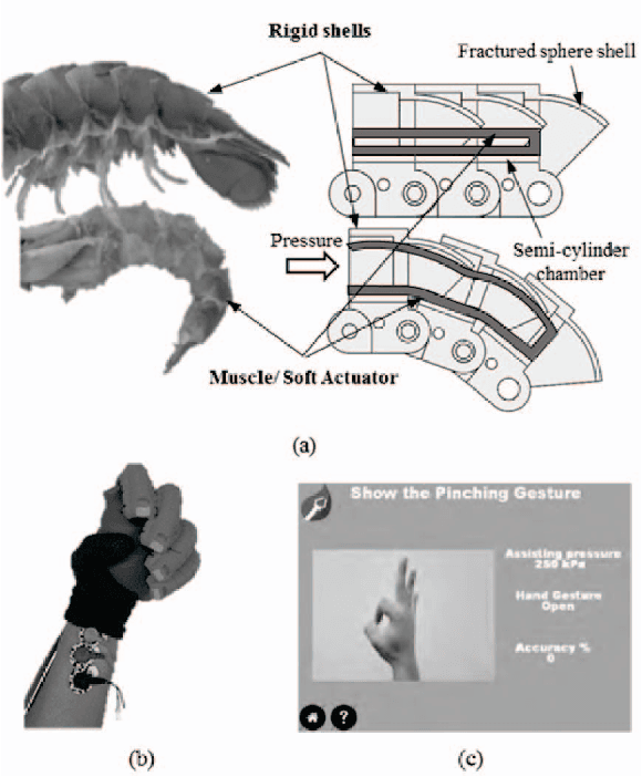 Figure 1 for A Lobster-inspired Robotic Glove for Hand Rehabilitation