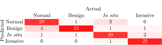 Figure 2 for Classification of Breast Cancer Histology using Deep Learning