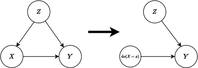 Figure 1 for A Kernel Test for Causal Association via Noise Contrastive Backdoor Adjustment