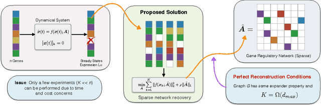 Figure 1 for RIDS: Robust Identification of Sparse Gene Regulatory Networks from Perturbation Experiments