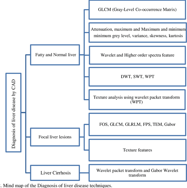 Figure 4 for Diagnosis of liver disease using computer-assisted imaging techniques: A Review