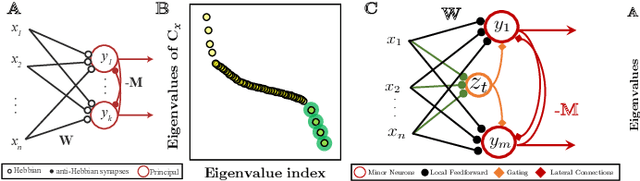 Figure 1 for A Neural Network with Local Learning Rules for Minor Subspace Analysis