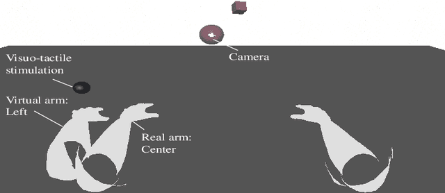 Figure 2 for A deep active inference model of the rubber-hand illusion