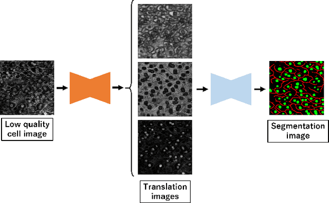 Figure 1 for Automatic Preprocessing and Ensemble Learning for Low Quality Cell Image Segmentation