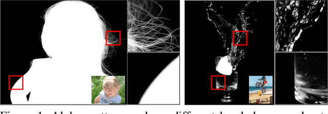 Figure 1 for Semantic Image Matting